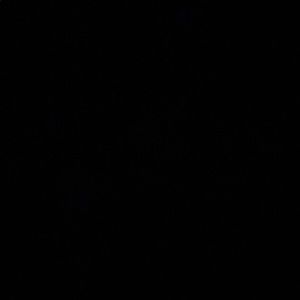 Meet your Posher, Sierra